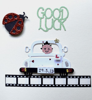 Driving Test Good Luck Card