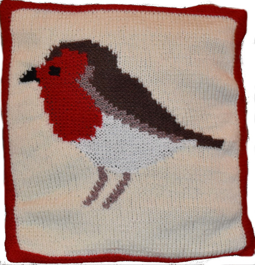 Christmas Robin Cushion